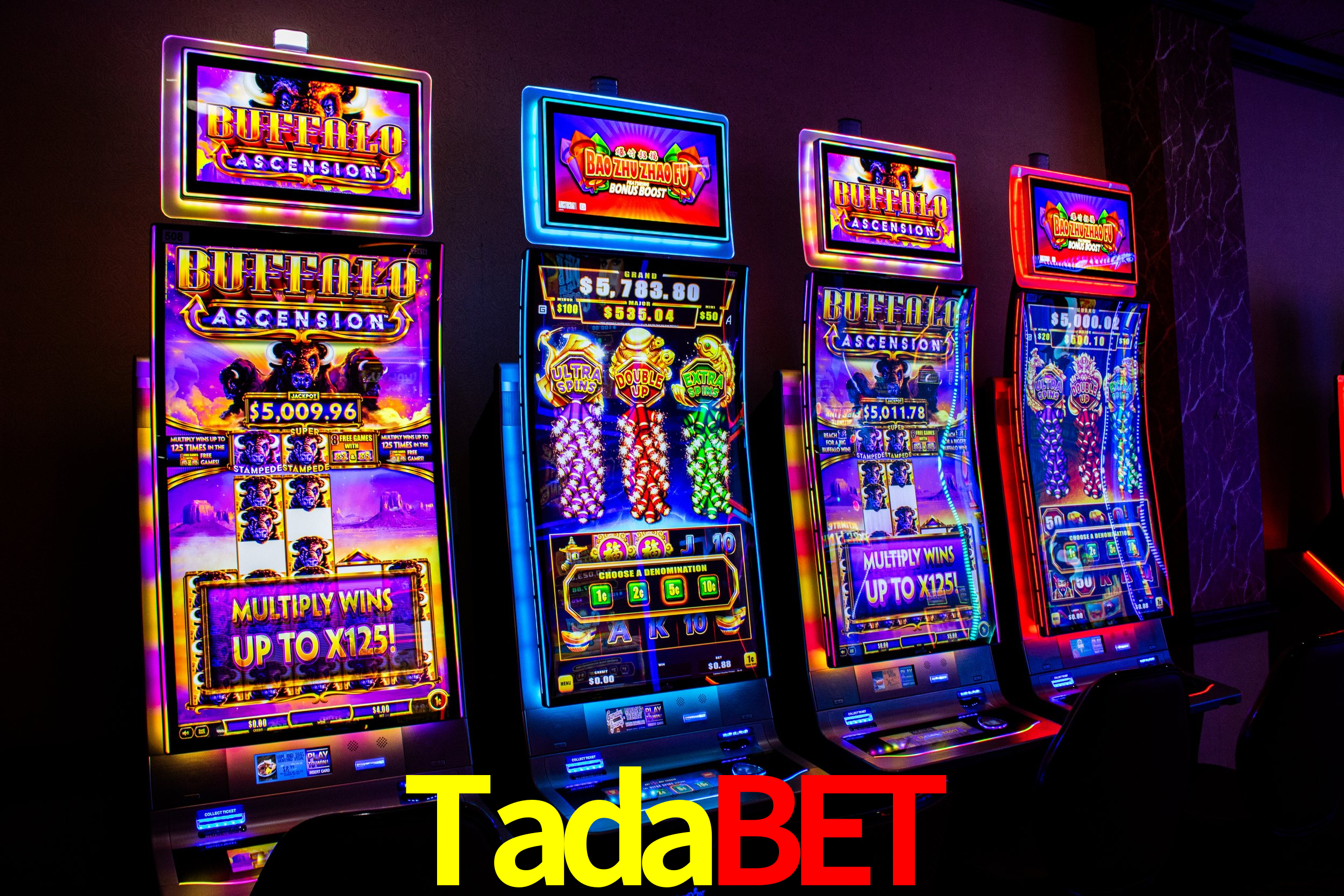 Secure Login Tadabet